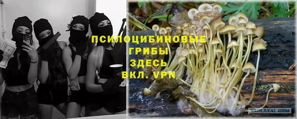 PSILOCYBIN Алексин