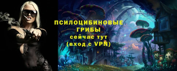 марки nbome Алексеевка