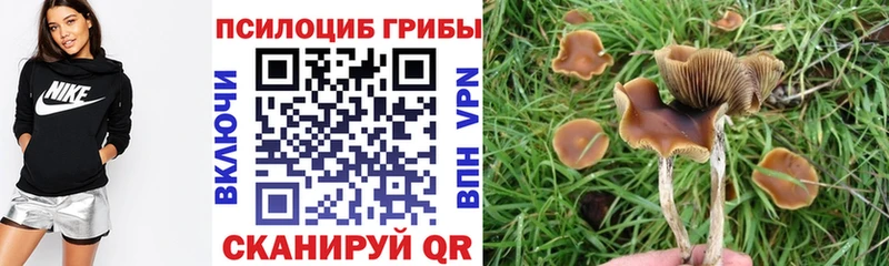 Псилоцибиновые грибы GOLDEN TEACHER  Переславль-Залесский 