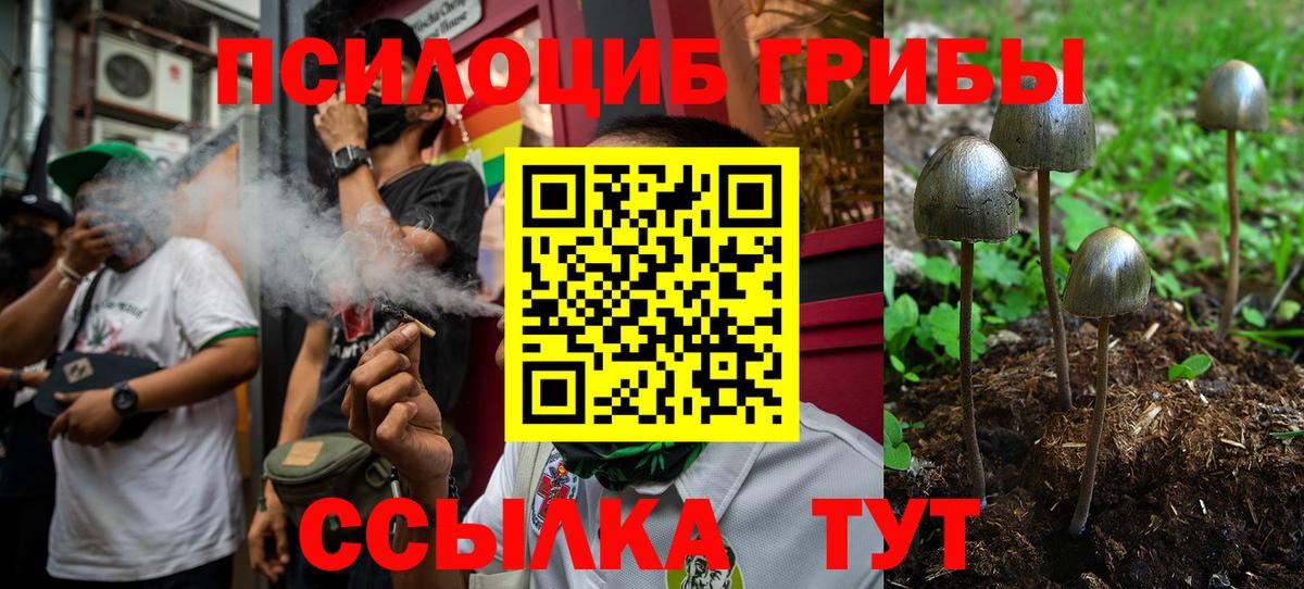 Псилоцибиновые грибы Cubensis  Вход с VPN  Псилоцибиновые грибы MAGIC MUSHROOMS  Переславль-Залесский 