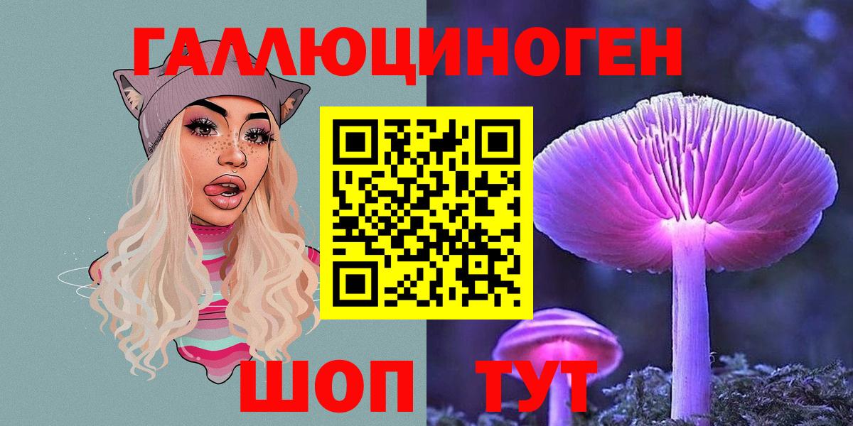Галлюциногенные грибы Psilocybine cubensis Переславль-Залесский